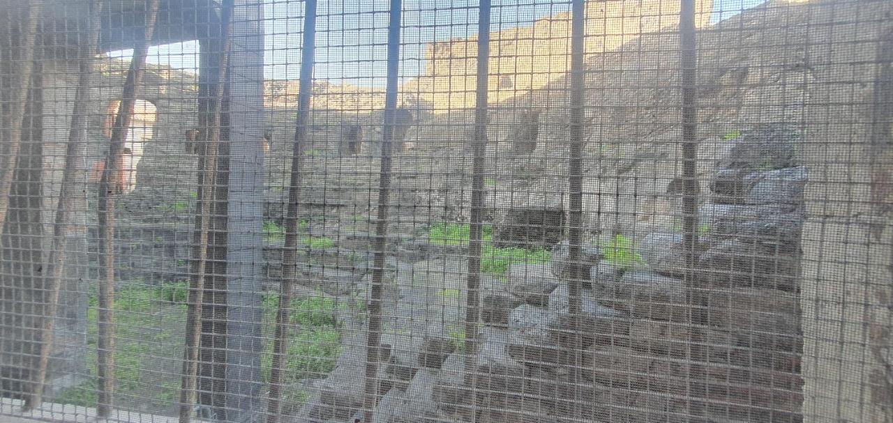 Domus Odeon La Casa Nel Parco Archeologico Di Cataniaアパートメント エクステリア 写真